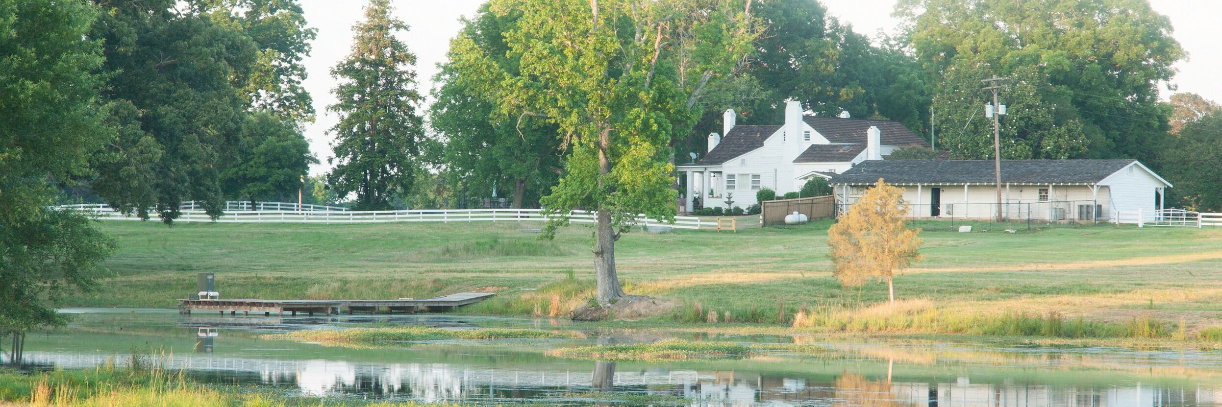 Azalee Plantation before fire